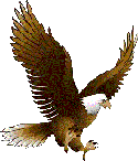 markham_eagle
